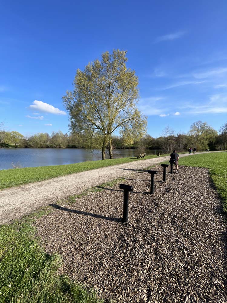 camping dogfriendly perche sarthois