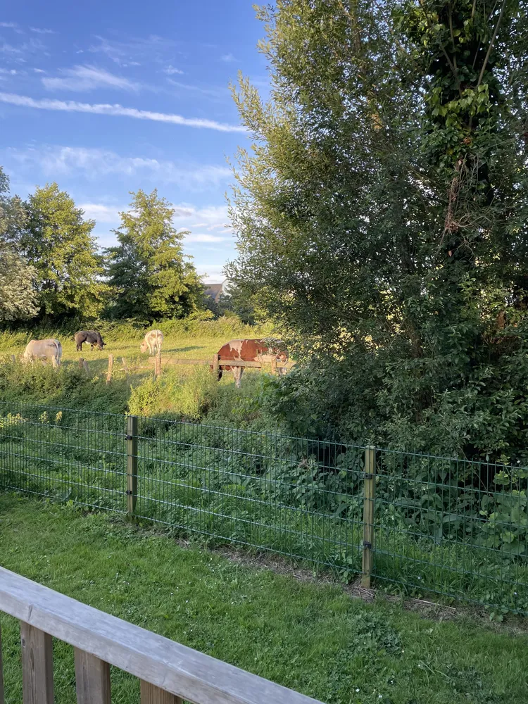 le camping en Pays Sarthois
