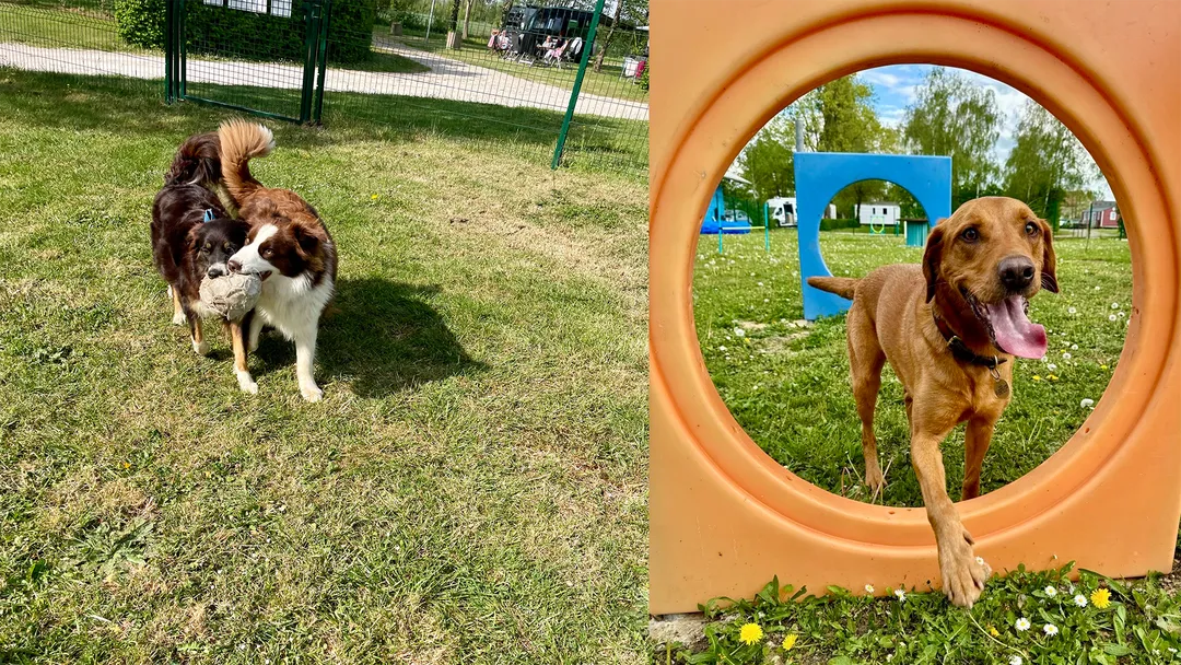 Camping in the heart of La Ferté-Bernard